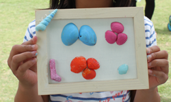 貝殻アート(ワークショップ) 